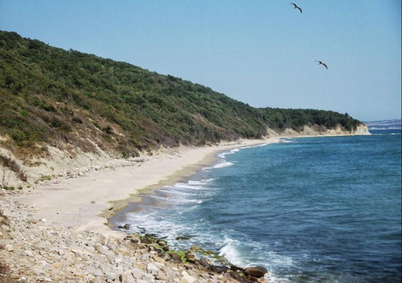 Προς πώληση  Οικόπεδο περιοχή Μπουργκάς , Εμονα , 2000 τ.μ | 33116322 - εικόνα [7]