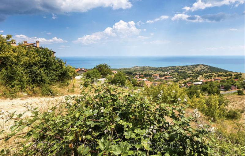 Zu verkaufen  Handlung region Burgas , Emona , 2000 qm | 33116322 - Bild [5]