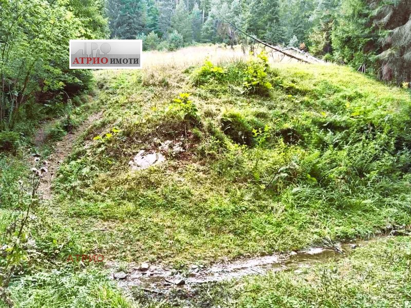 Myytävänä  Maa Smolyanin alue , Tšepelare , 4 dka | 88505661 - kuva [5]