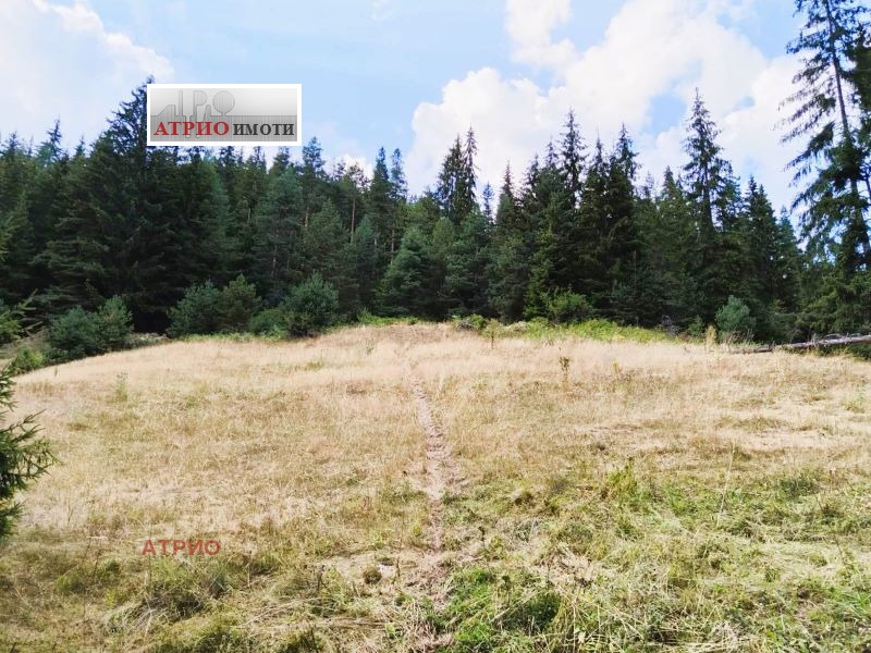 Myytävänä  Maa Smolyanin alue , Tšepelare , 4 dka | 88505661 - kuva [3]