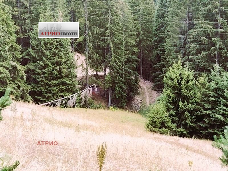 Myytävänä  Maa Smolyanin alue , Tšepelare , 4 dka | 88505661 - kuva [4]