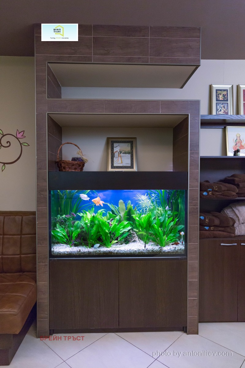 Продава БИЗНЕС ИМОТ, гр. София, Лозенец, снимка 6 - Други - 50559433