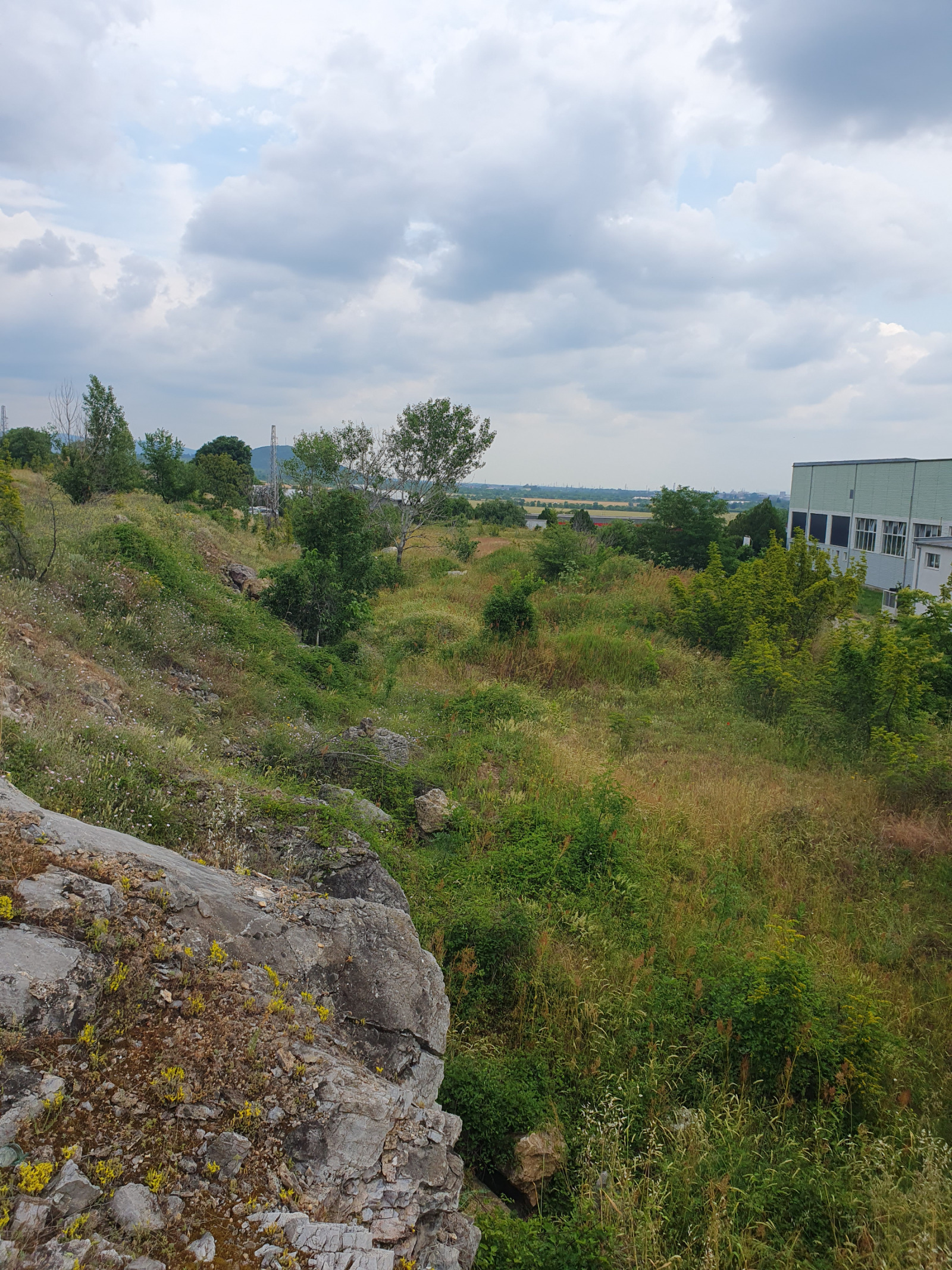 Продава БИЗНЕС ИМОТ, гр. Стара Загора, м-т Голеш, снимка 4 - Други - 54809247