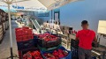 Продава ПРОМ. ПОМЕЩЕНИЕ, гр. Първомай, област Пловдив, снимка 14