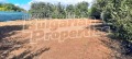 Продава ПАРЦЕЛ, с. Българево, област Добрич, снимка 1