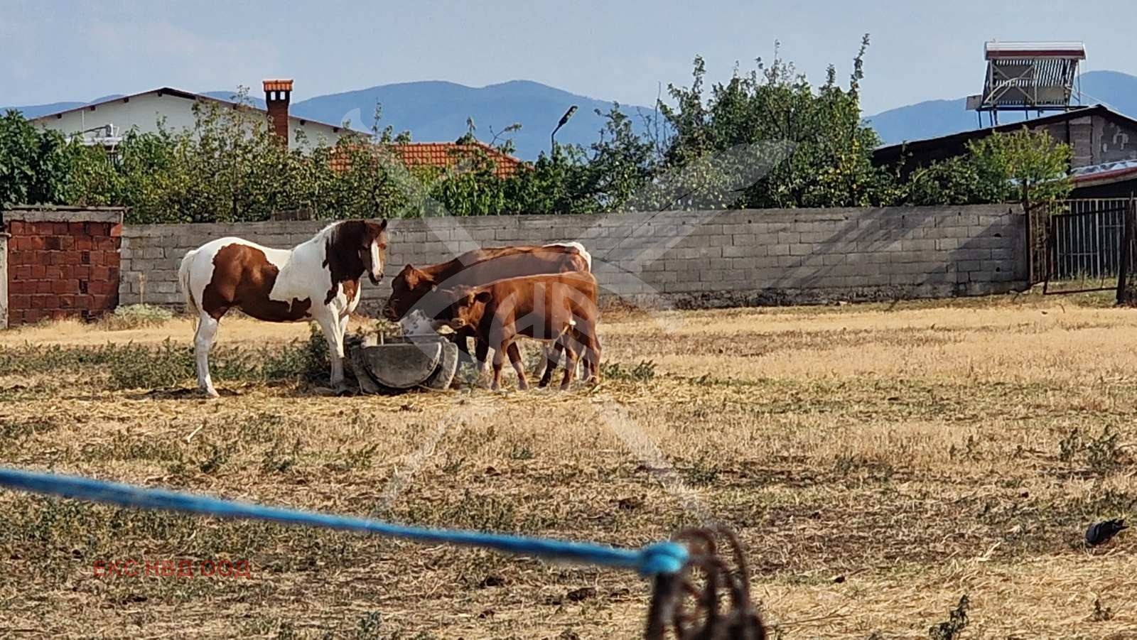 ������� ����� | Imot.bg � ����������� 6