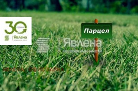 Trama m-t Priboi, Varna