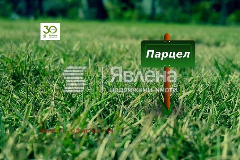 À venda  Trama Varna , m-t Priboi , 1999 m² | 94201429