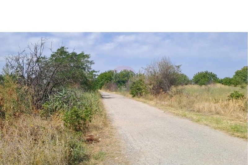 In vendita  Terra regione Plovdiv , Orizari , 7999 dka | 85404553 - Immagine [4]