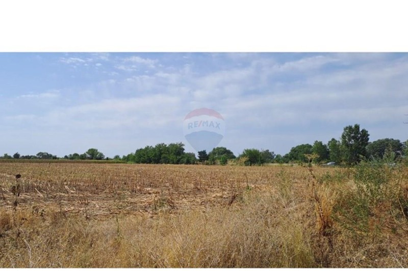 In vendita  Terra regione Plovdiv , Orizari , 7999 dka | 85404553