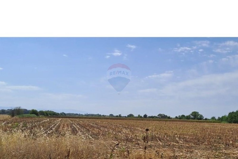 In vendita  Terra regione Plovdiv , Orizari , 7999 dka | 85404553 - Immagine [3]