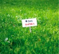 Продава ПАРЦЕЛ, град Варна, Виница • 30000 € • 88460825 — Holmes.bg