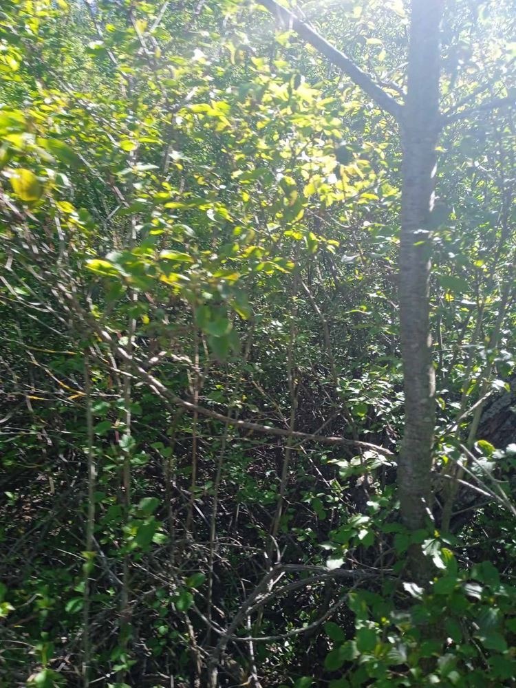 ������� ������ | Imot.bg � ����������� 6