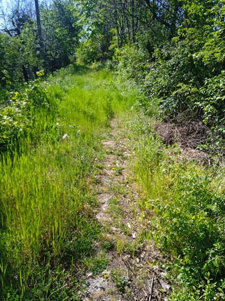 ������� ������ | Imot.bg � ����������� 7