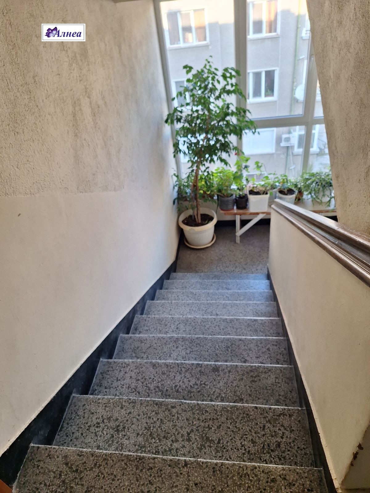 ������� 3-����� | Imot.bg � ����������� 14