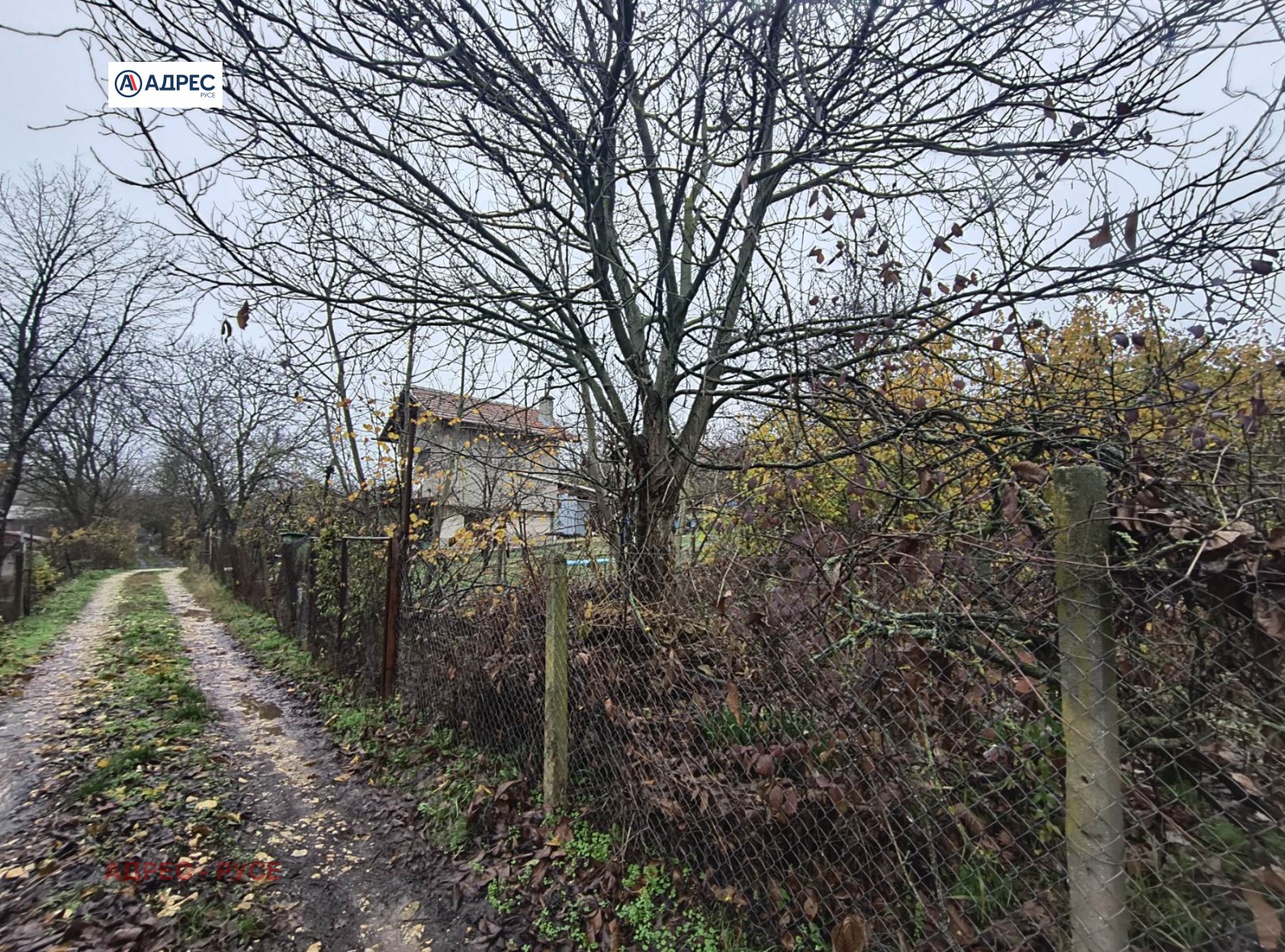 ������� ������ | Imot.bg � ����������� 4