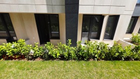 ����� ������� 2-�����,���� �����, ����������