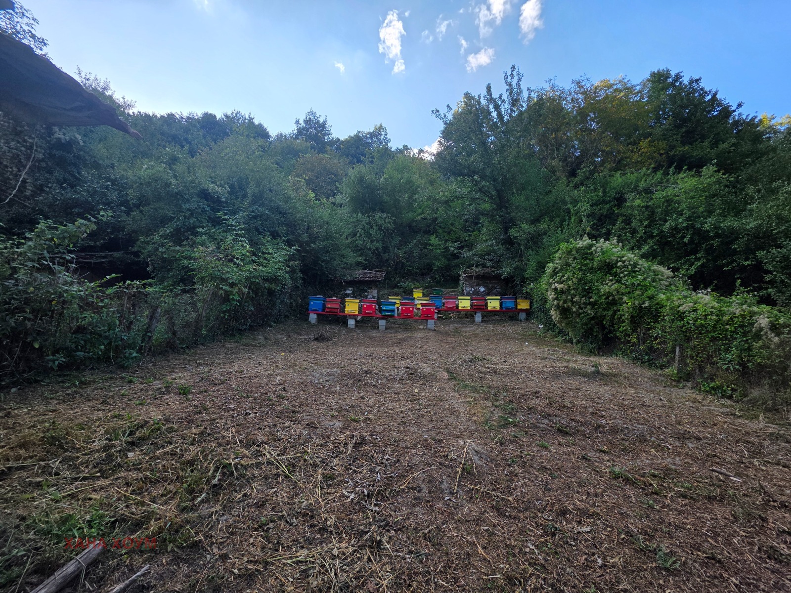 ������� ���� | Imot.bg � ����������� 11