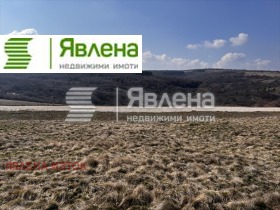 ������ ������� ������