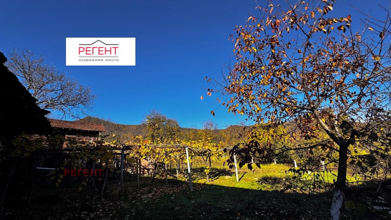 Продава КЪЩА, с. Дамяново, област Габрово, снимка 6 - Къщи - 52522590