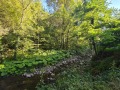 Продава КЪЩА, с. Бели Осъм, област Ловеч, снимка 4
