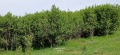 Продава КЪЩА, с. Бов, област София област, снимка 5