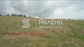 ����� ������� ������,���� �����, �. �������