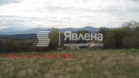 ����� ������� ������,���� �����, �. �������