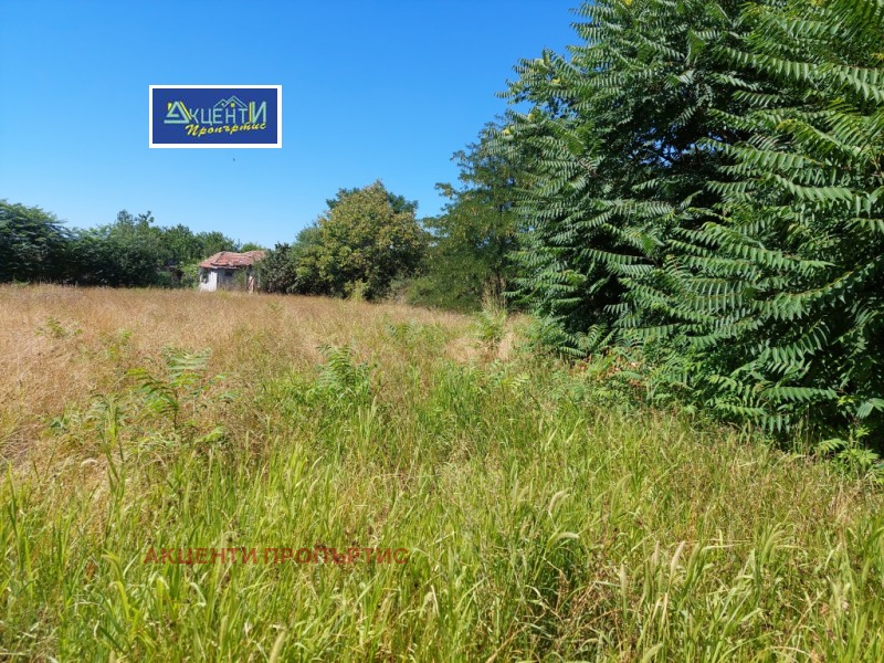 Продава КЪЩА в област Велико Търново, с. Павел - 40 кв.м / 9 203.25 € » 18 000 лв., АКЦЕНТИ ПРОПЪРТИС