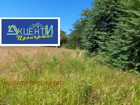 Продажба на имоти в с. Павел, област Велико Търново - изображение 3 
