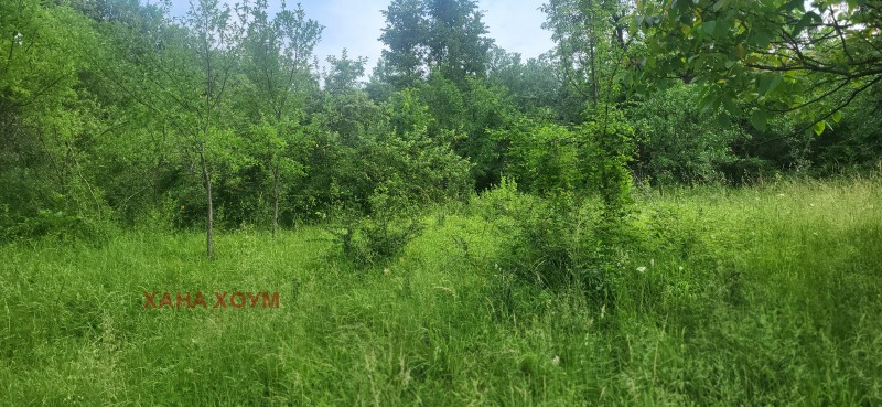 Eladó  Cselekmény régió Lovech , Belis , 1810 négyzetméter | 67240074 - kép [4]