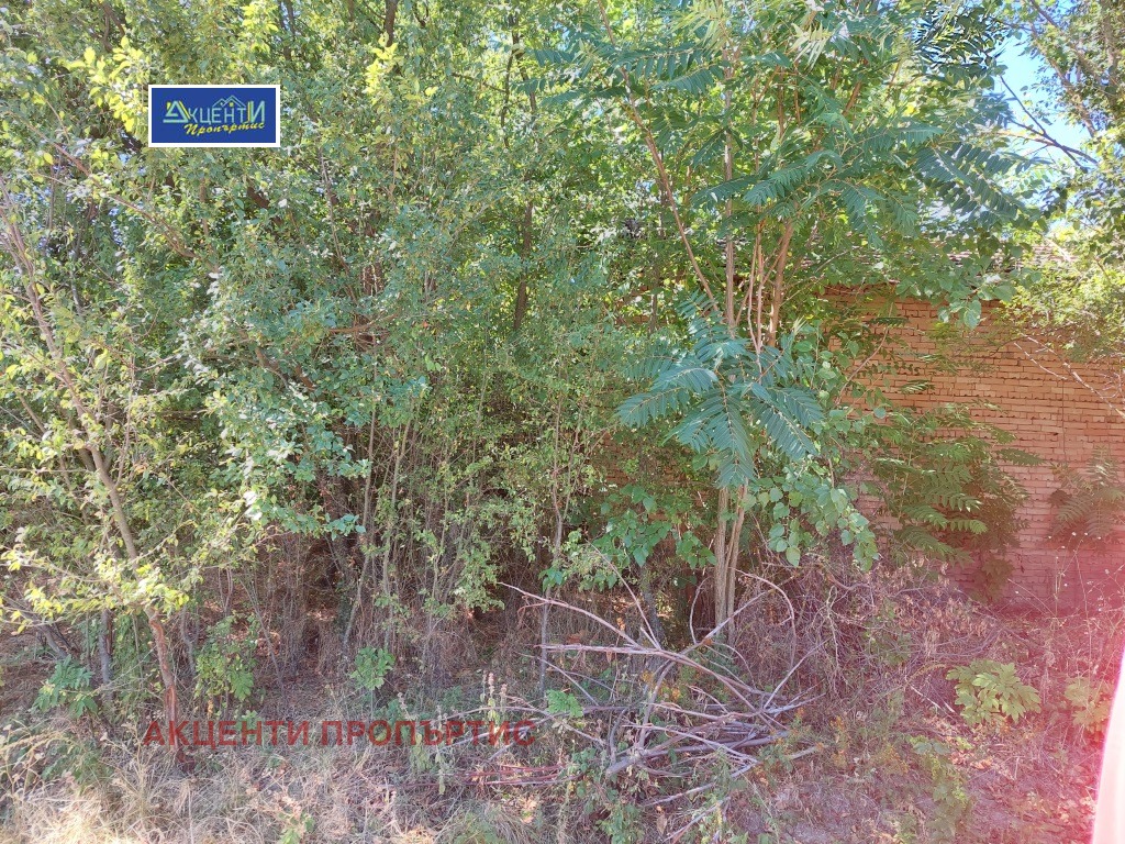 Продава КЪЩА, с. Павел, област Велико Търново, снимка 2 - Къщи - 51558160