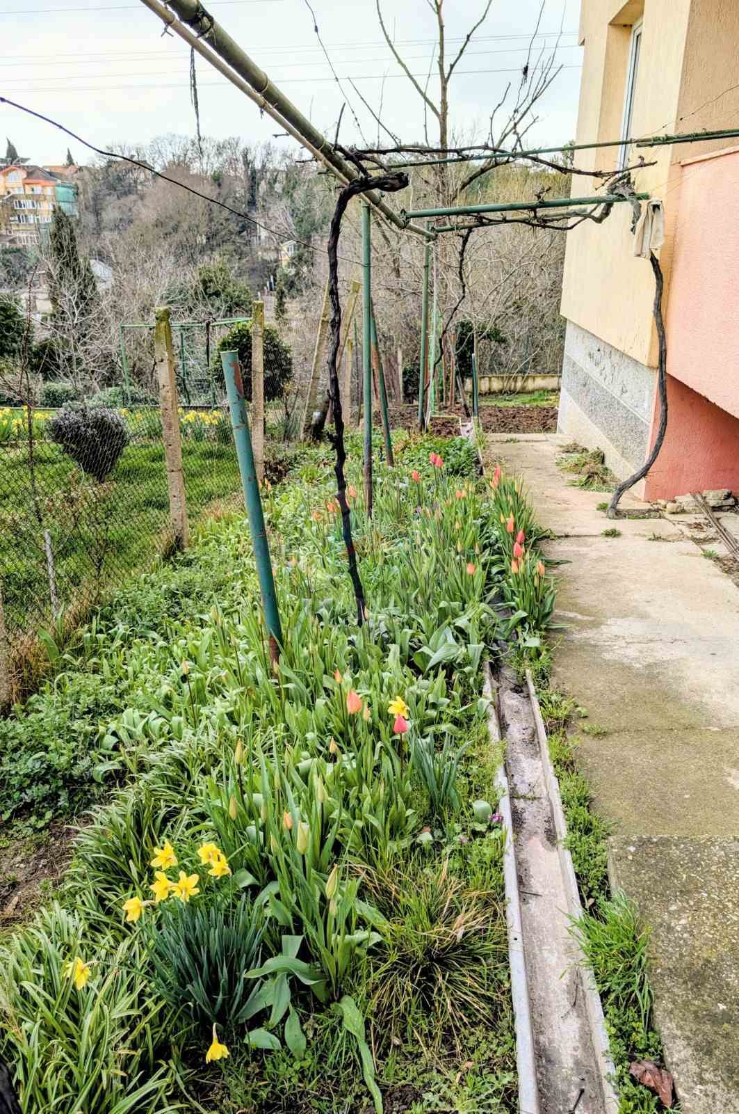 Продава КЪЩА, гр. Варна, м-т Долна Трака, снимка 10 - Къщи - 54006785