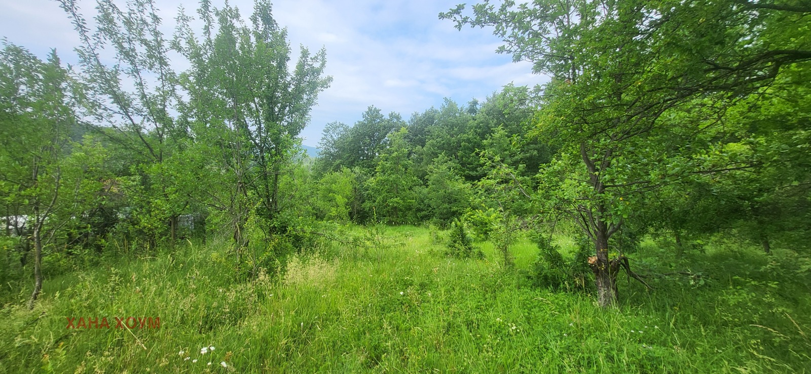 Продава ПАРЦЕЛ, с. Белиш, област Ловеч, снимка 2 - Парцели - 50684339