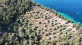 Продава ПАРЦЕЛ, Гърция, Тасос • 295000 € / 576969.85 лв. • 63382055 2