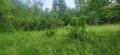 Продава ПАРЦЕЛ, област Ловеч, с. Белиш • 3200 € • 75566172 — Holmes.bg