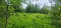 Продава ПАРЦЕЛ, област Ловеч, с. Белиш • 3200 € • 75566172 — Holmes.bg