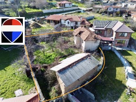 ������ ������� ����