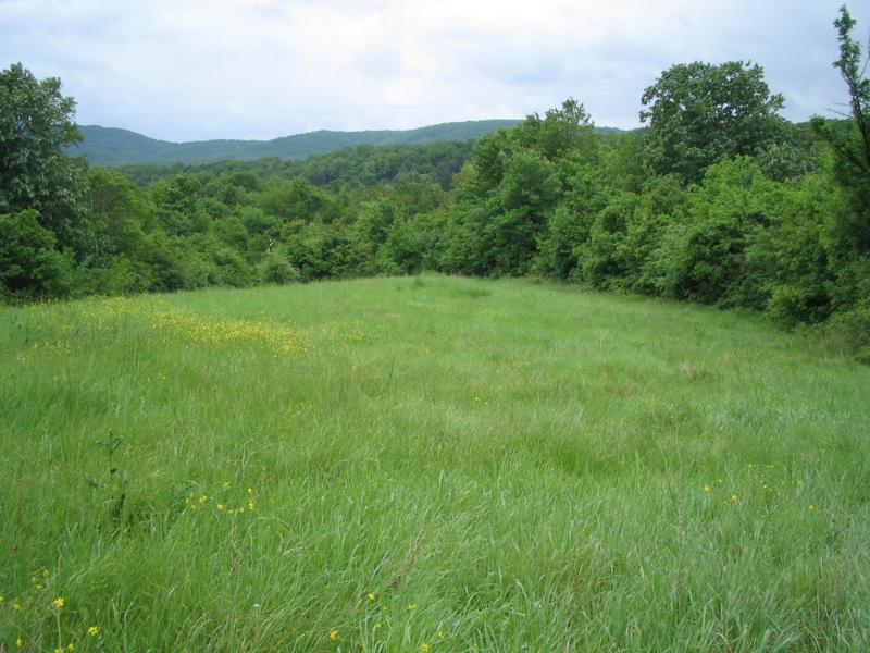 Продава ПАРЦЕЛ | Imot.bg — изображение 1