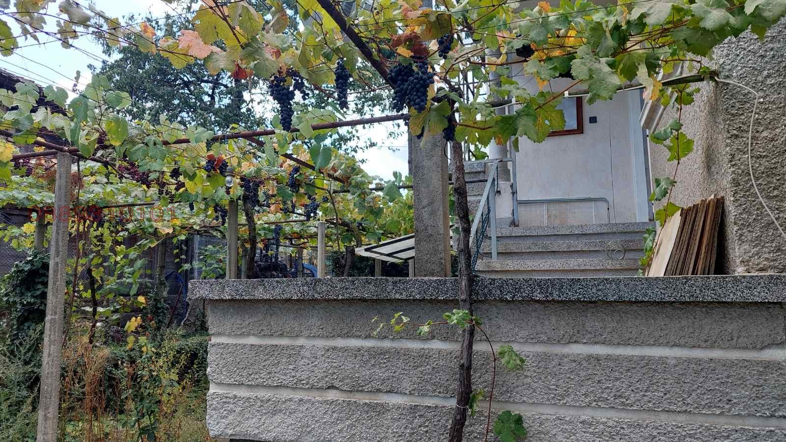 ������� ���� | Imot.bg � ����������� 11