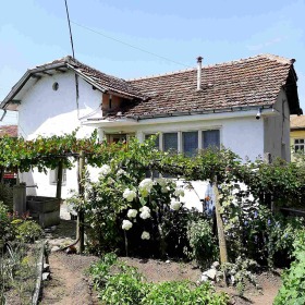 ������ ������� ����