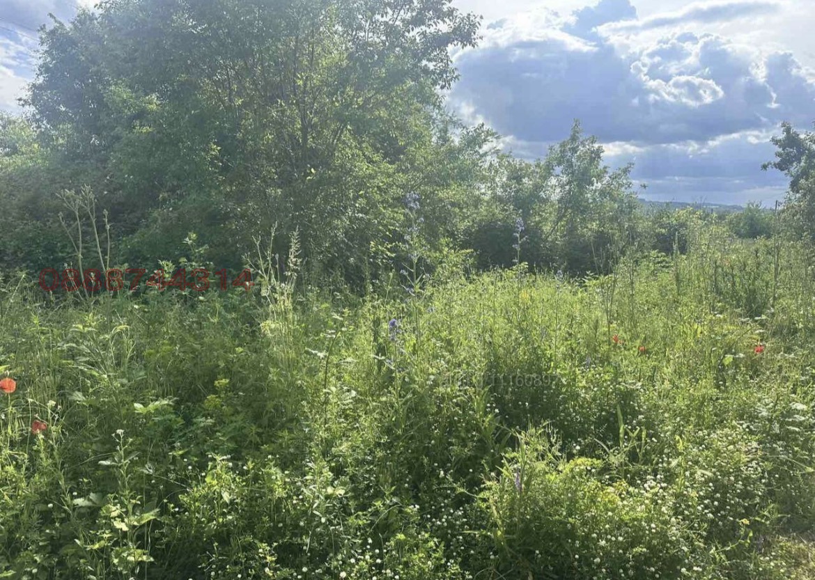 Продава ПАРЦЕЛ, с. Глухар, област Кърджали, снимка 5 - Парцели - 55320059