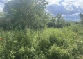 Продава ПАРЦЕЛ, с. Глухар, област Кърджали, снимка 5