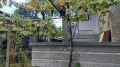 Продава КЪЩА, област Пловдив, с. Слатина • 68900 € • 18246766 — Holmes.bg