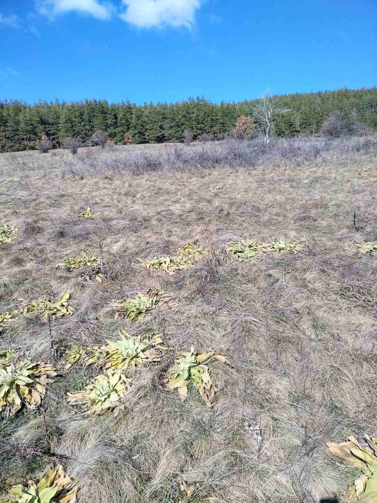 Продава ПАРЦЕЛ | Imot.bg — изображение 3