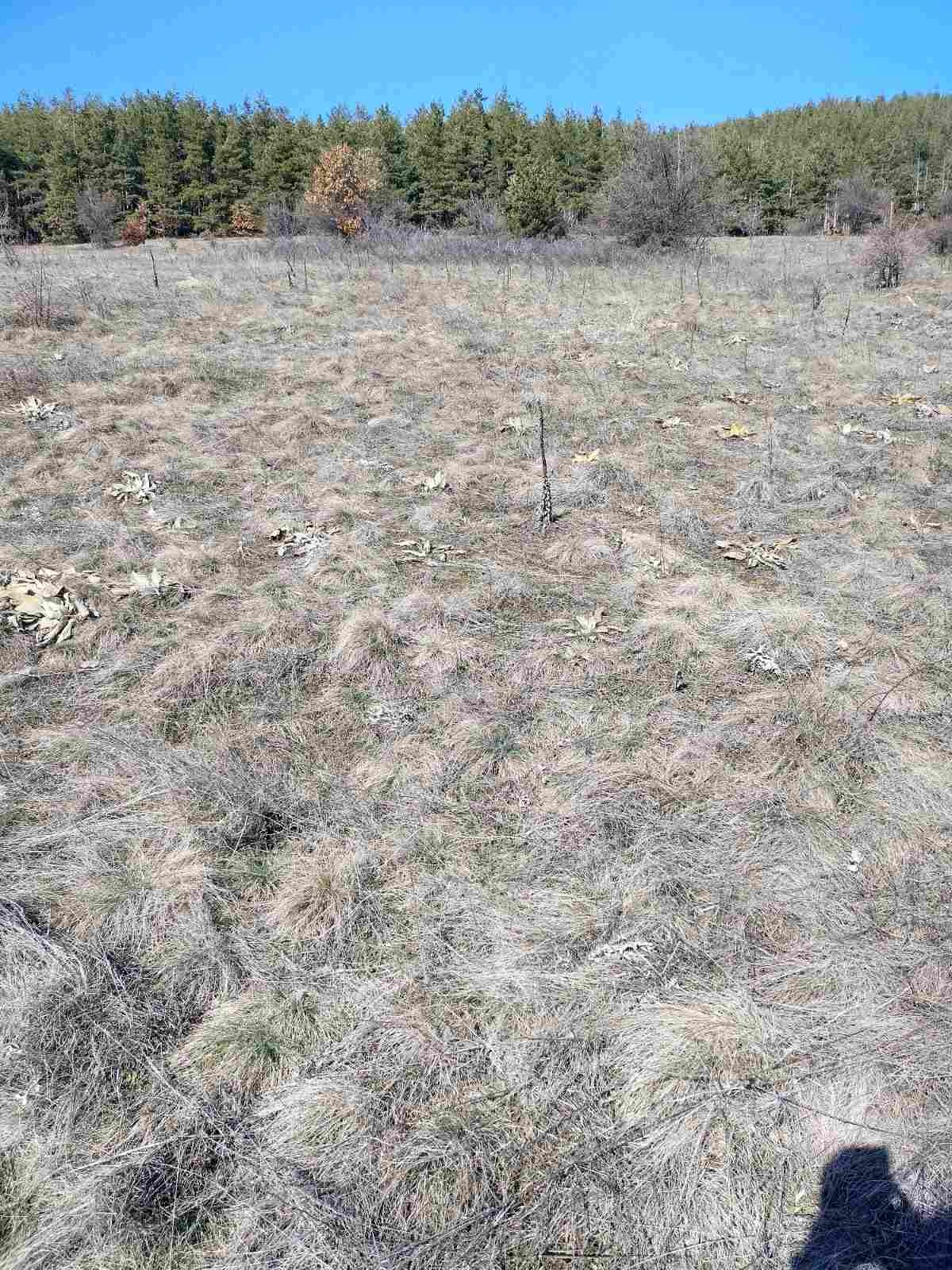 Продава ПАРЦЕЛ | Imot.bg — изображение 2