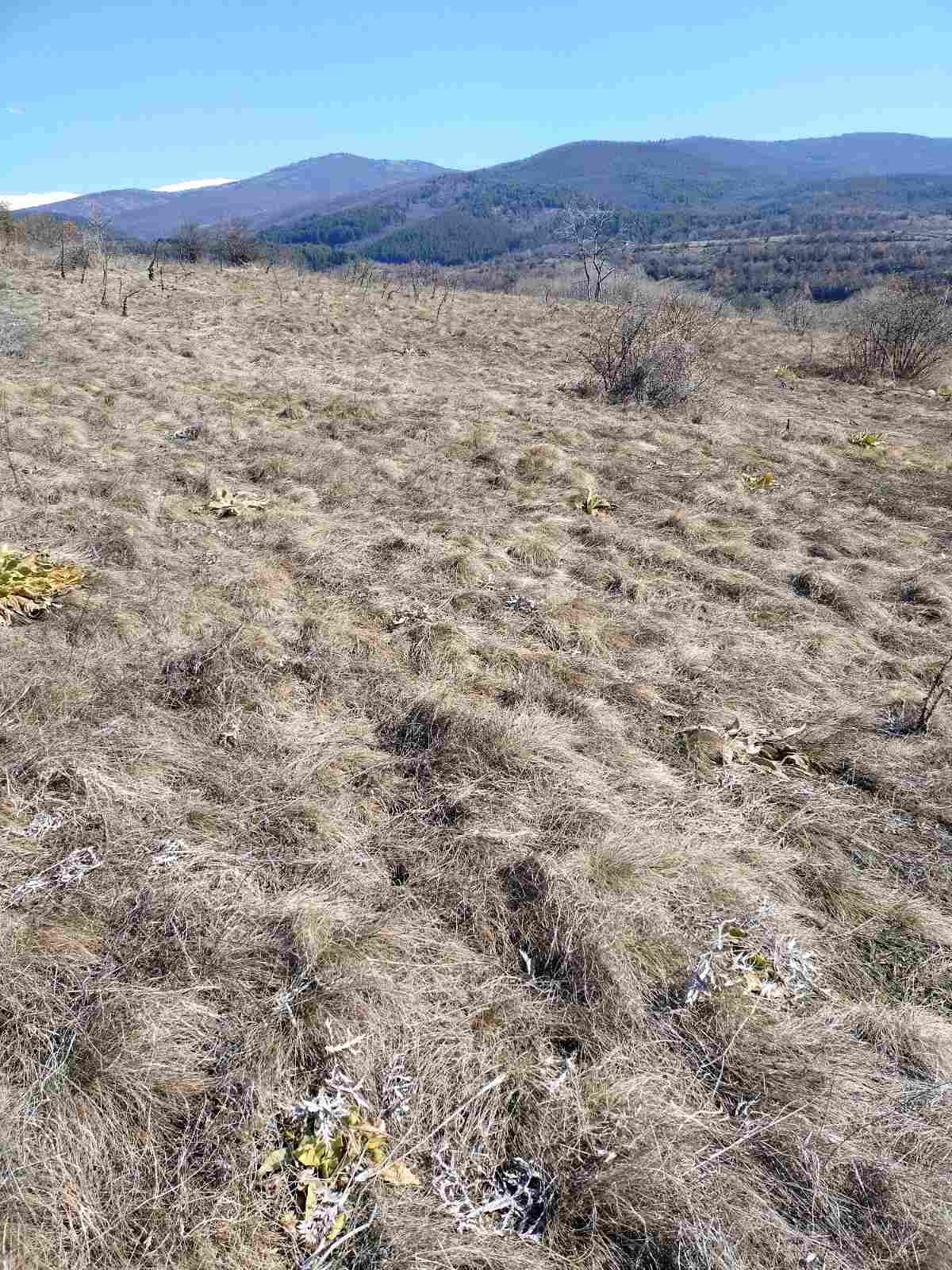 Продава ПАРЦЕЛ | Imot.bg — изображение 4