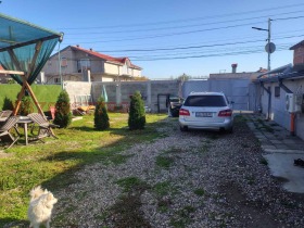 ������ ������� ����