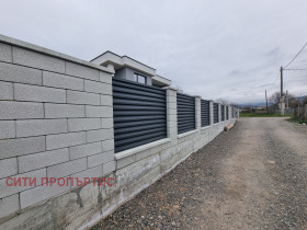 ����� ������� ����,���� �����������, �������