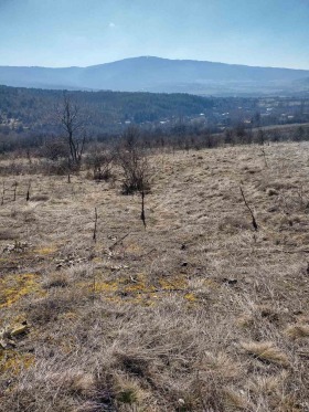 Парцел с. Горна Диканя, област Перник 1